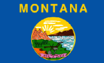 Montana State Flag Discount