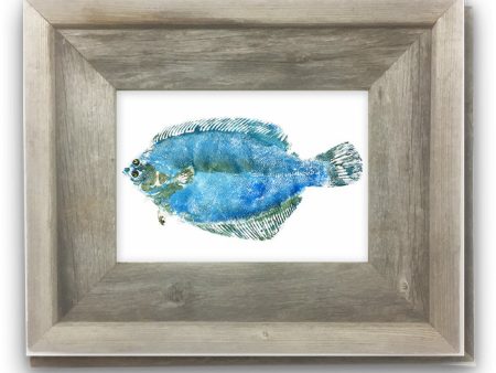 Small Framed Flounder Online now