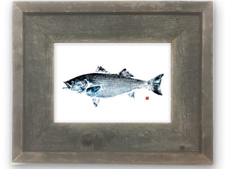 Small Framed Striped Bass- Blue tint Sale