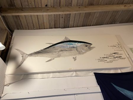 Bluefin tuna chasing baitfish- Original Framed Print Sale