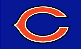 Chicago Bears Flag Hot on Sale