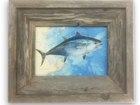 Small Framed Bluefin Tuna On Bathymetric chart Of Gloucester and Ipswich Bay Online Sale