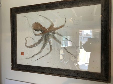 Original Octopus Print - Framed For Sale