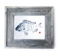 16 x 13 Framed Sheephead Online Sale