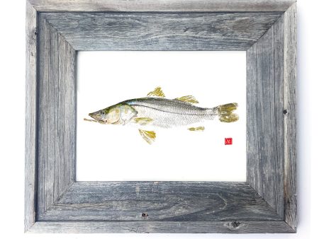 16 x 13 Framed Snook Hot on Sale