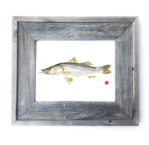 16 x 13 Framed Snook Hot on Sale