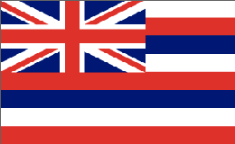 Hawaii State Flag For Discount