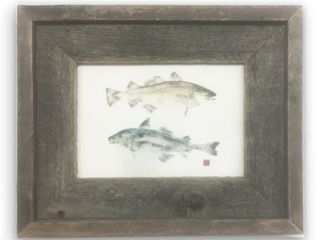 Small Framed Codfish and Haddock Sale