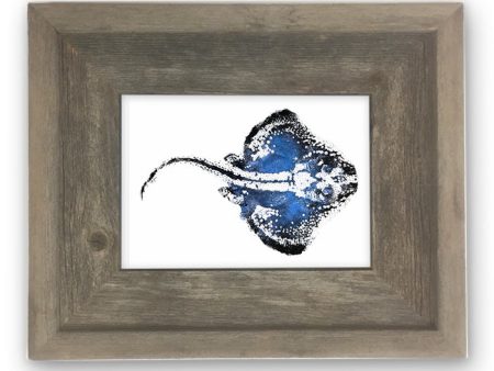 Small Framed Blue Skate Fashion