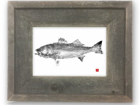 Small Framed Striper Online