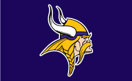 Minnesota Vikings Flag Online