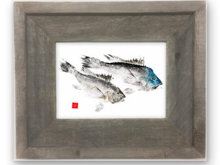 Small Framed  Black Sea Bass pair Discount