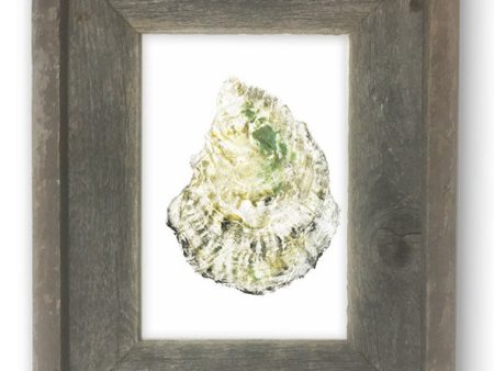 Small Framed oyster 2 Online