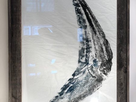 Mako Shark Tail - Original Print Fashion