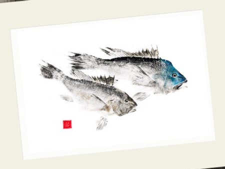 14 x11 Black Seabass Gyotaku Archival Print Supply