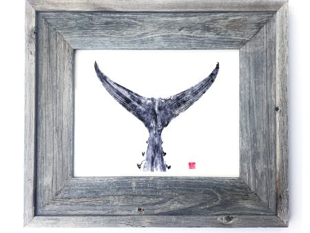 16 x 13 Framed Indigo Tuna Tail Online now