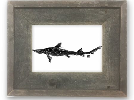 Small Framed Dogfish Online