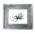 16 x 13 Framed Octo 2024 For Sale