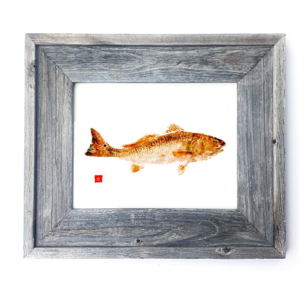 16 x 13 Framed Redfish For Cheap