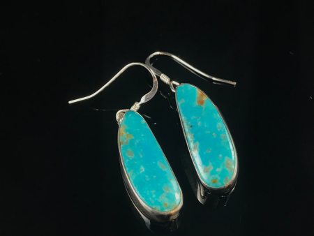 Sterling Silver & Turquoise Earrings Online