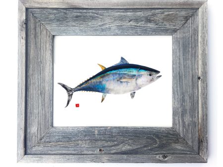 16 x 13 Framed Bluefin Tuna (Copy) For Sale