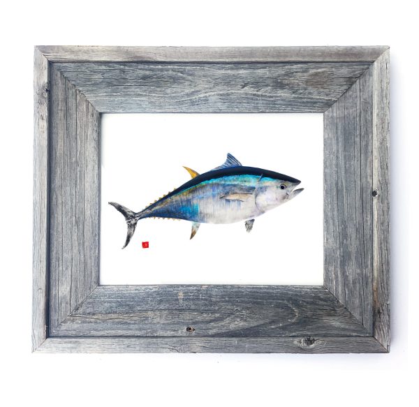 16 x 13 Framed Bluefin Tuna (Copy) For Sale