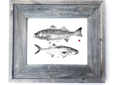 16 x 13 Framed Striper and Bluefish Online Hot Sale