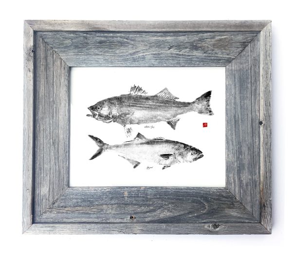 16 x 13 Framed Striper and Bluefish Online Hot Sale