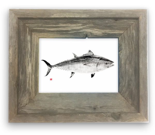 Small Framed Bluefin Tuna Supply