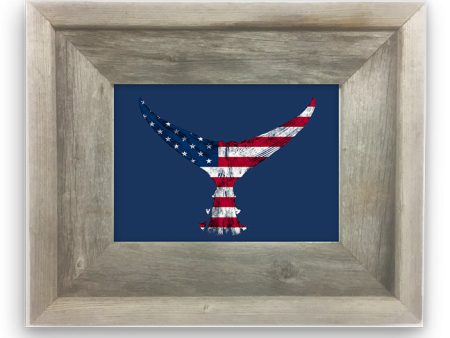 Small Framed American flag Tuna tail Cheap