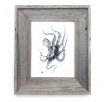 16 x 13 Framed Indigo Octopus For Discount