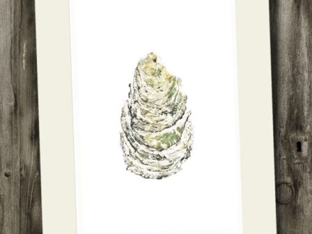 11 x 14 Oyster Gyotaku Archival Print Sale