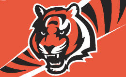 Cincinnati Bengals Flag For Sale