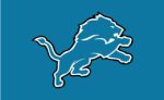 Detroit Lions Flag Supply