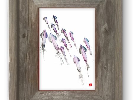 Small Framed squid school Hot on Sale