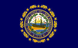 New Hampshire State Flag Fashion