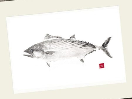 11 x 14 Bonito Gyotaku Archival Print Supply