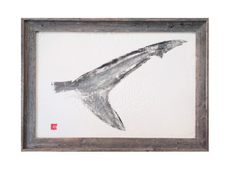 Blue Shark Tail Original Hot on Sale