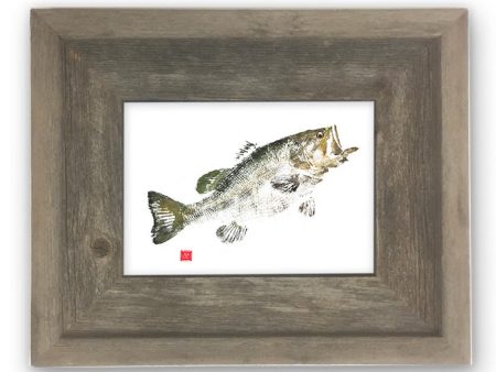 Small Framed largemouth bass For Discount