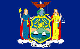 New York State Flag For Cheap