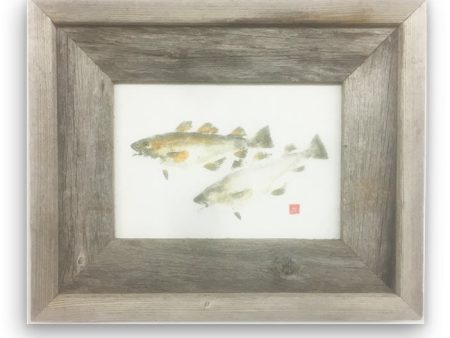 Small Framed Codfish pair For Sale