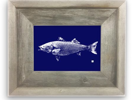 Small Framed Striped bass on Blue Online