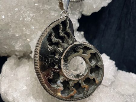 Spiral of Creation Pyritized Ammonite Pendant For Sale