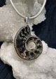 Spiral of Creation Pyritized Ammonite Pendant For Sale